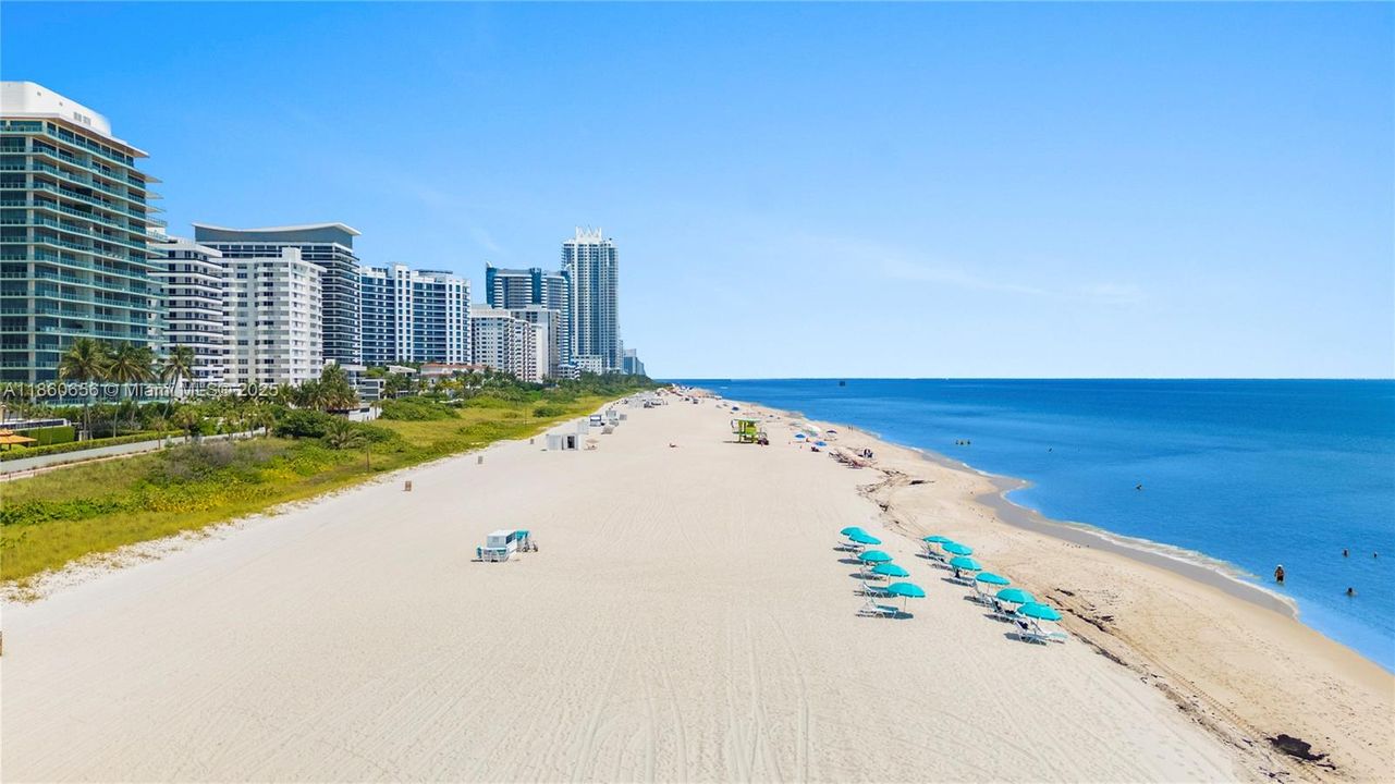 合同活跃: $600,000 (1 贝兹, 1 浴室, 930 平方英尺)