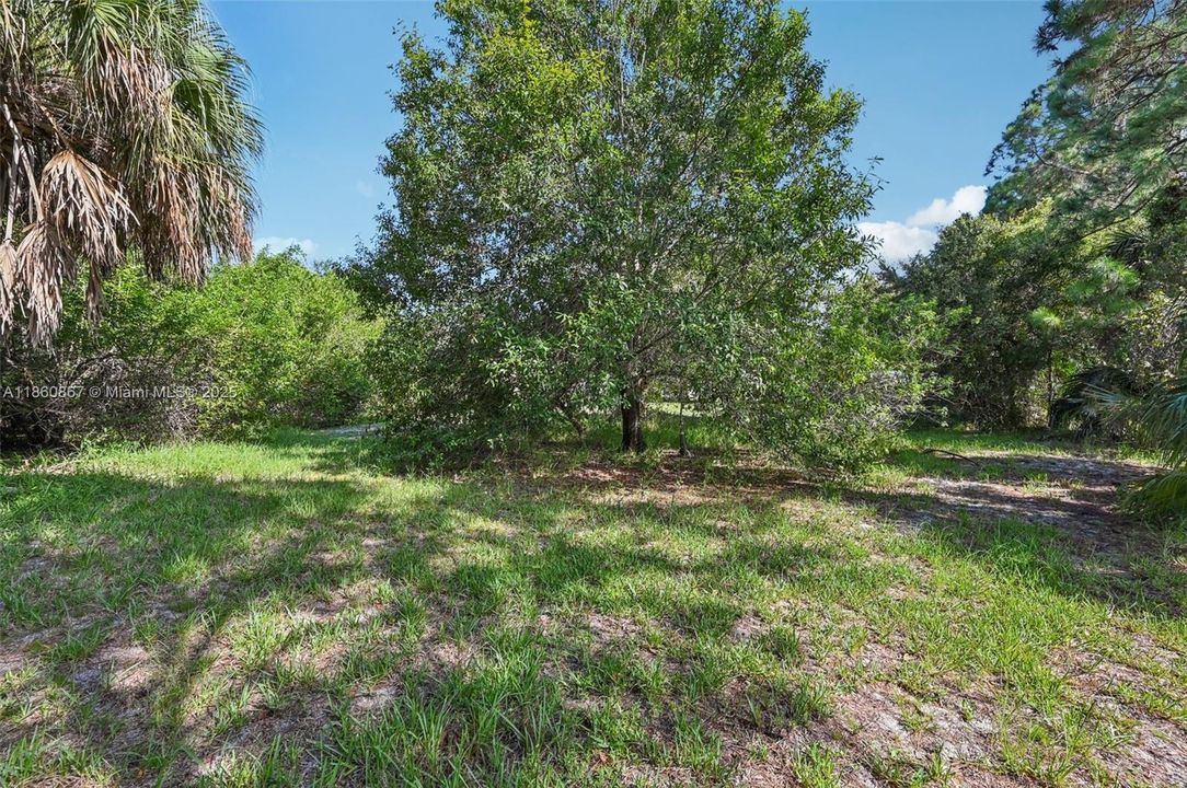 Под контрактом: $318,200 (4 спален, 2 ванн, 1568 Квадратных фут)