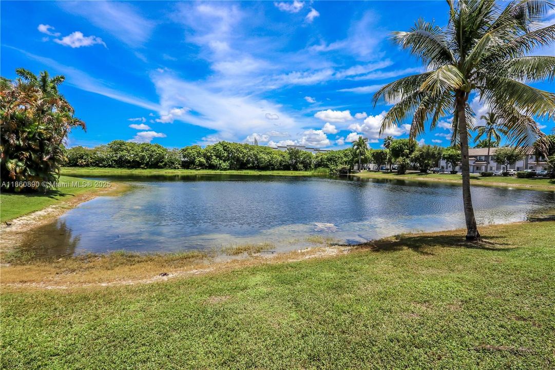 На продажу: $469,000 (3 спален, 2 ванн, 1330 Квадратных фут)