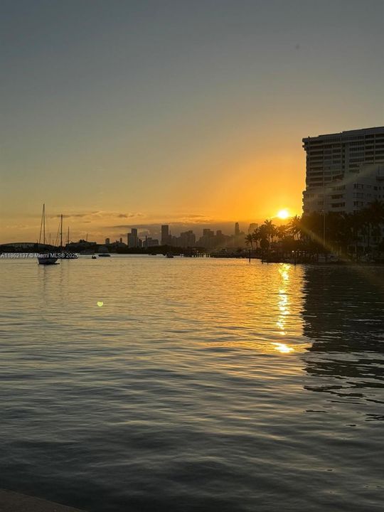 待售: $375,000 (1 贝兹, 1 浴室, 847 平方英尺)