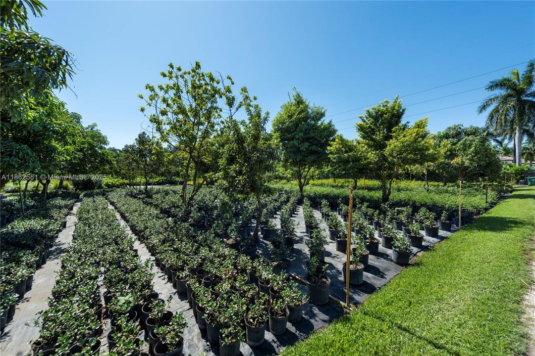 Recently Sold: $2,500,000 (3 beds, 2 baths, 900 Square Feet)