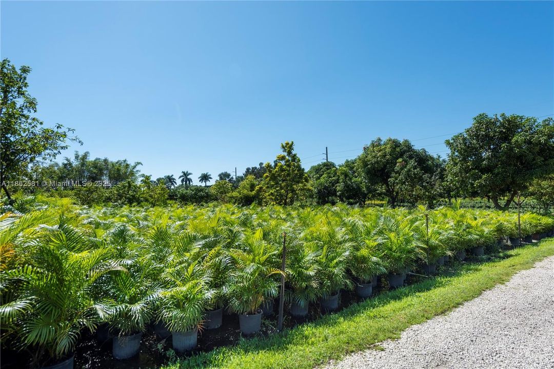 Recently Sold: $2,500,000 (3 beds, 2 baths, 900 Square Feet)