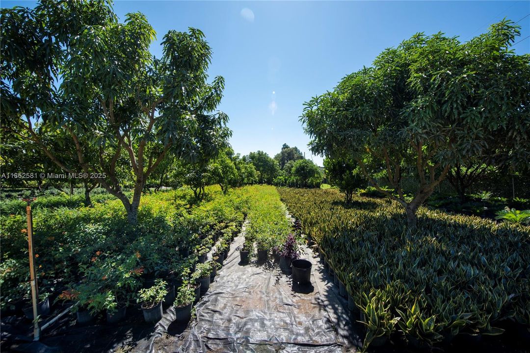 Recently Sold: $2,500,000 (3 beds, 2 baths, 900 Square Feet)