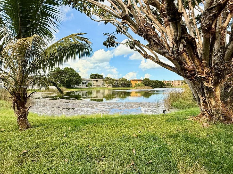 For Sale: $111,000 (1 beds, 1 baths, 790 Square Feet)