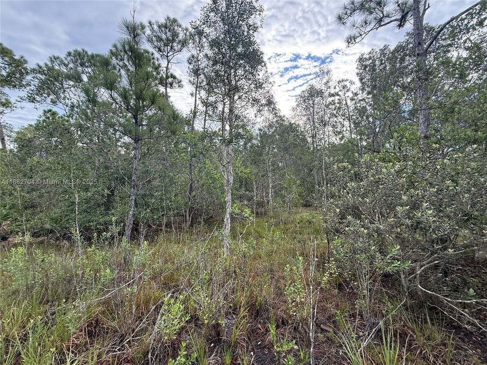 Recently Sold: $39,900 (0.20 acres)