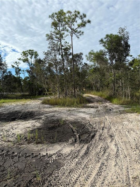 Recently Sold: $39,900 (0.20 acres)