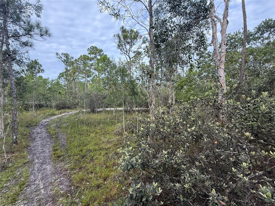 Recently Sold: $39,900 (0.20 acres)