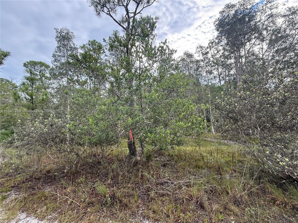 Recently Sold: $39,900 (0.20 acres)