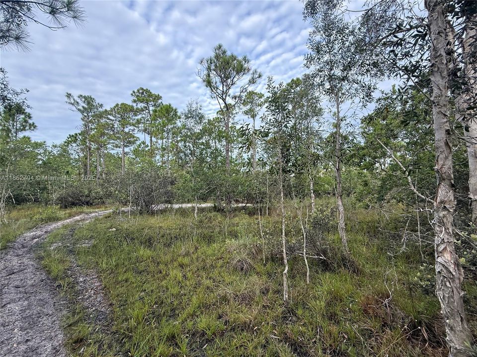 Recently Sold: $39,900 (0.20 acres)