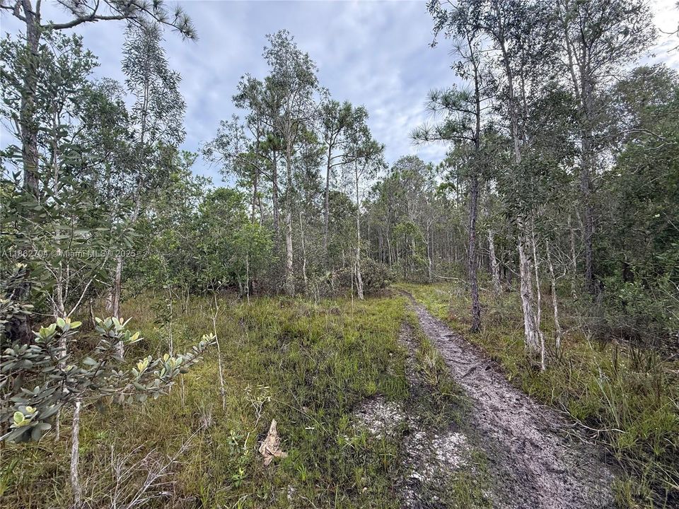 Recently Sold: $39,900 (0.20 acres)