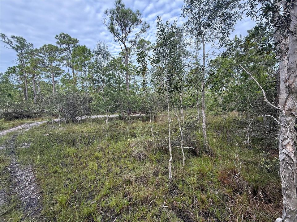 Recently Sold: $39,900 (0.20 acres)