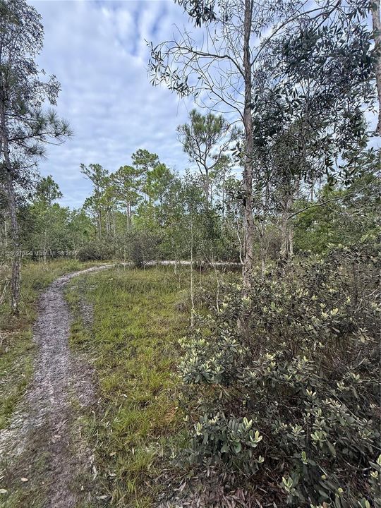 Recently Sold: $39,900 (0.20 acres)
