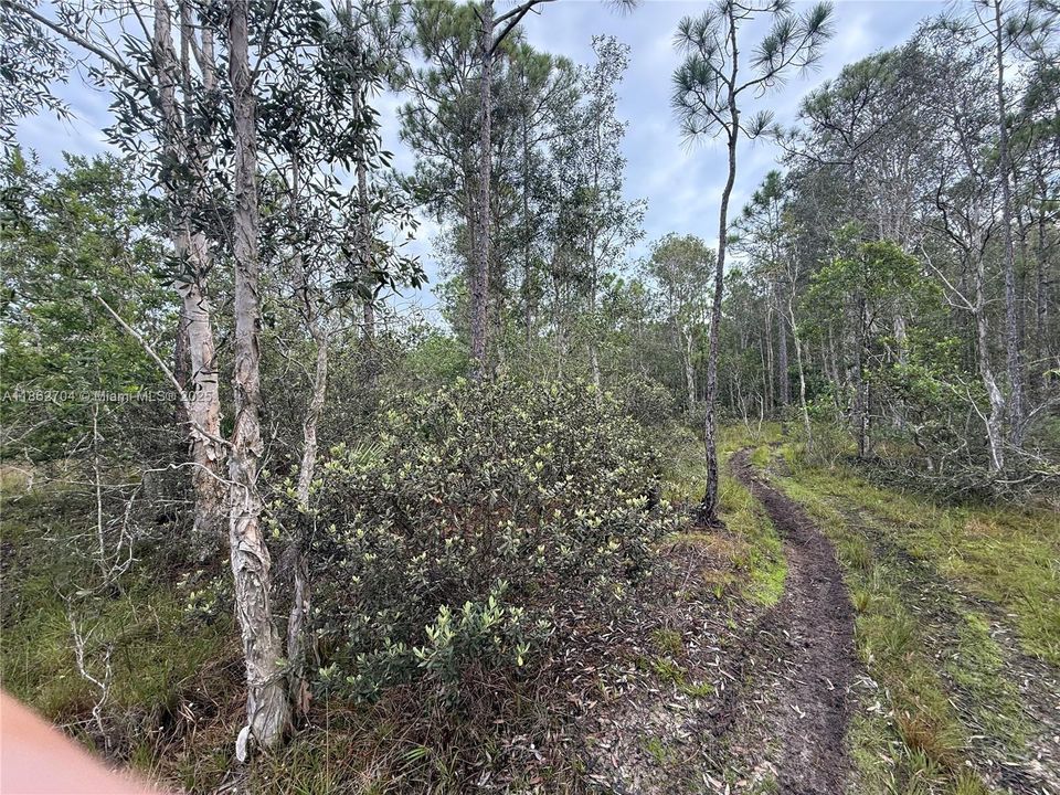 Recently Sold: $39,900 (0.20 acres)