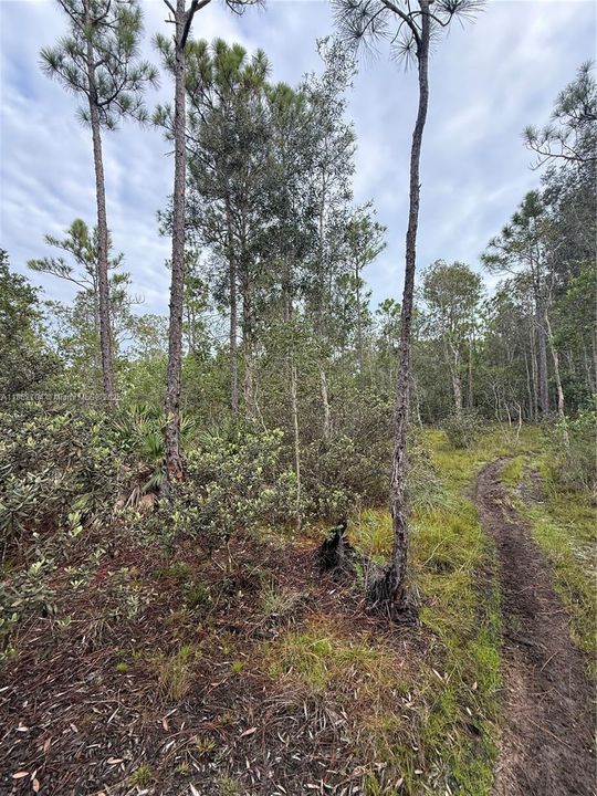 Recently Sold: $39,900 (0.20 acres)