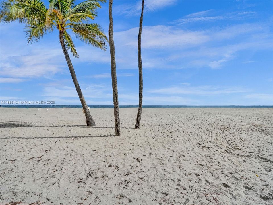 Под контрактом: $339,000 (1 спален, 1 ванн, 830 Квадратных фут)