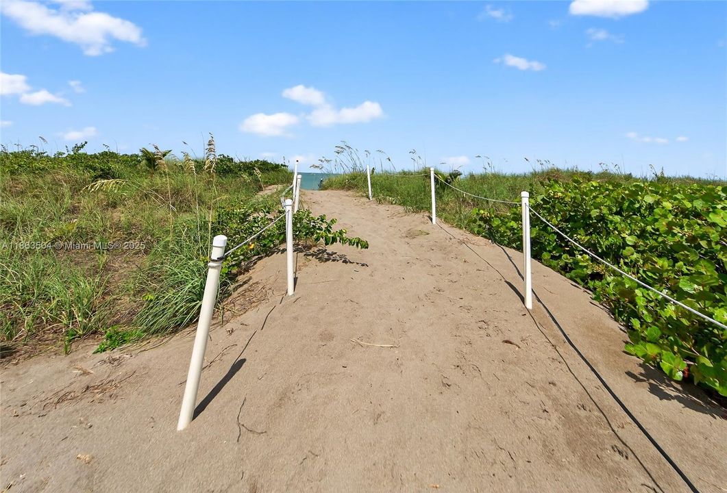 Walkway To the ocean