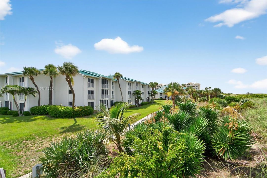 View from the walkway #4