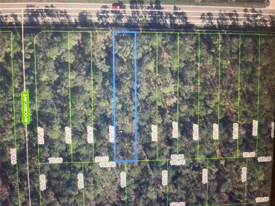 For Sale: $10,000 (0.34 acres)