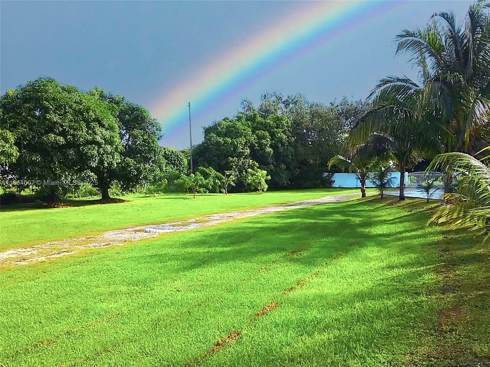 待售: $1,050,000 (3 贝兹, 2 浴室, 1681 平方英尺)