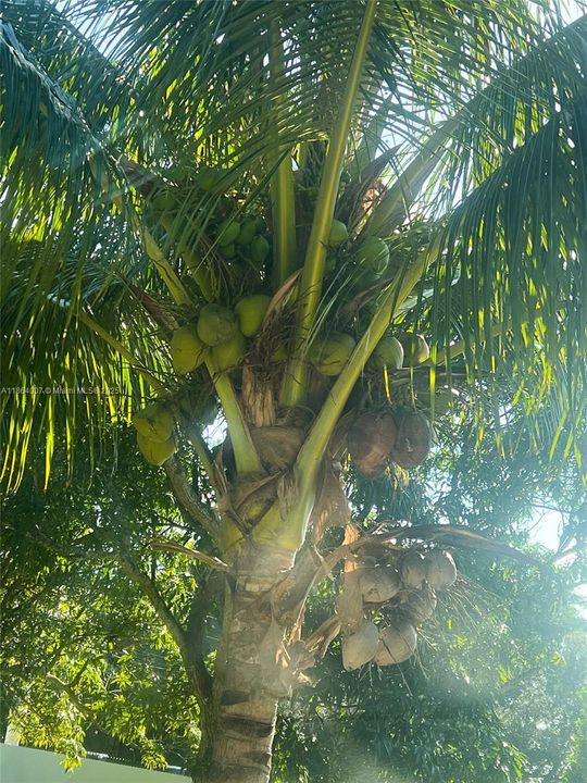 待售: $1,050,000 (3 贝兹, 2 浴室, 1681 平方英尺)