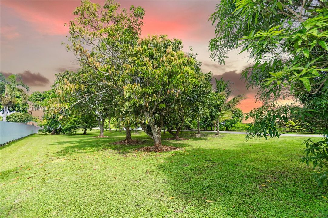 待售: $1,050,000 (3 贝兹, 2 浴室, 1681 平方英尺)