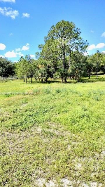 For Sale: $215,000 (2 beds, 2 baths, 1056 Square Feet)