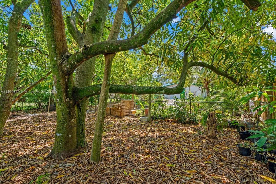 Active With Contract: $229,900 (2 beds, 1 baths, 816 Square Feet)