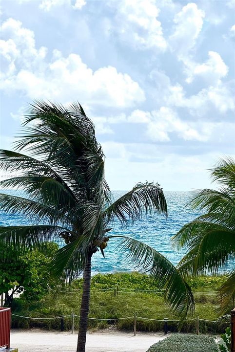 待售: $350,000 (0 贝兹, 1 浴室, 450 平方英尺)