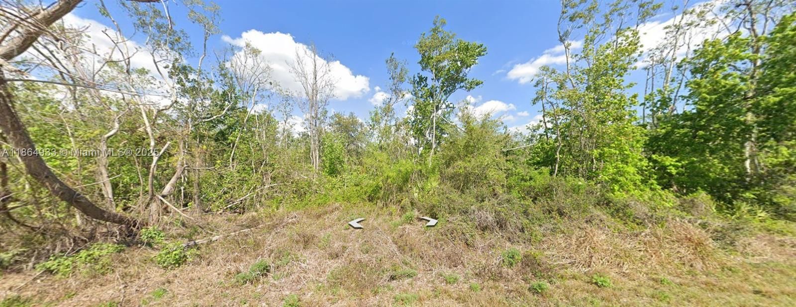 For Sale: $10,900 (0.23 acres)