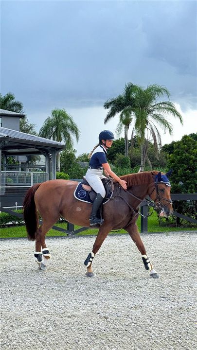 En Venta: $9,000,000 (8 camas, 5 baños, 6380 Pies cuadrados)