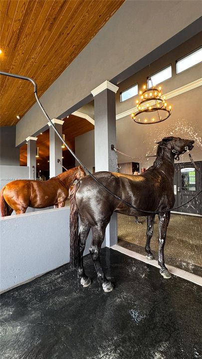 En Venta: $9,000,000 (8 camas, 5 baños, 6380 Pies cuadrados)