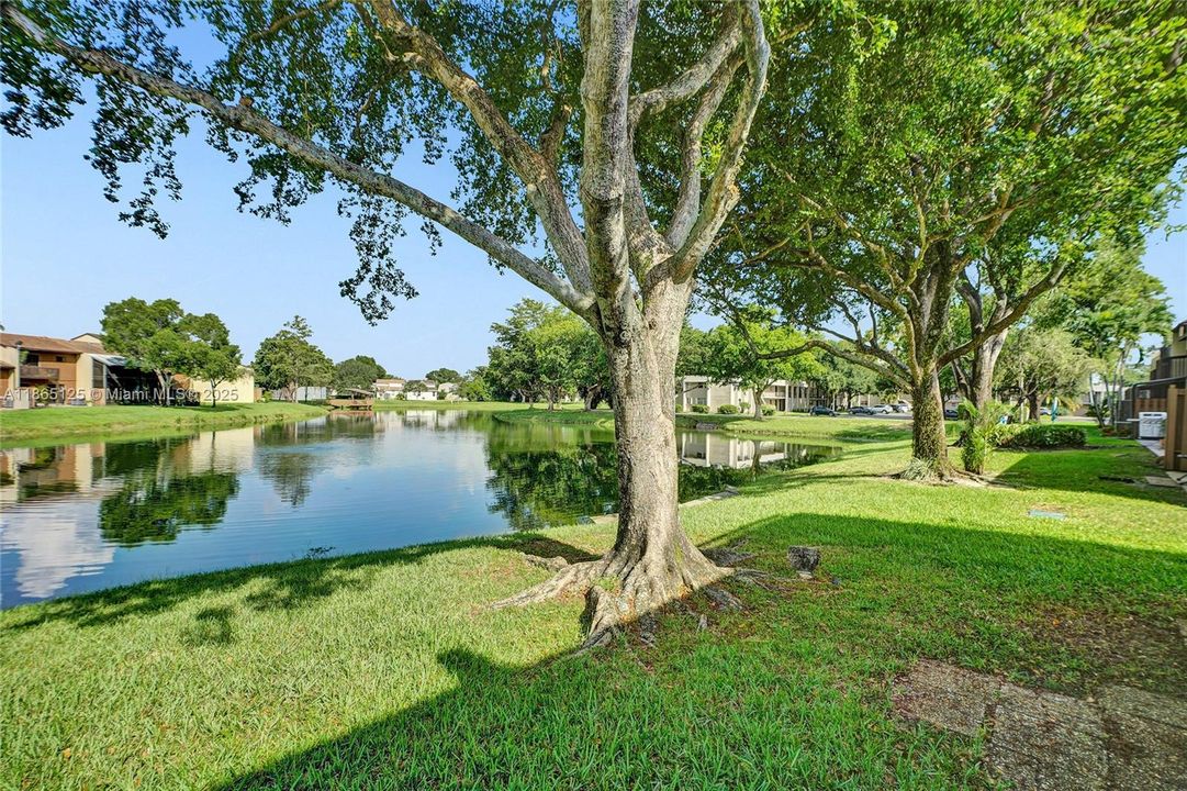 Active With Contract: $3,000 (3 beds, 2 baths, 1705 Square Feet)