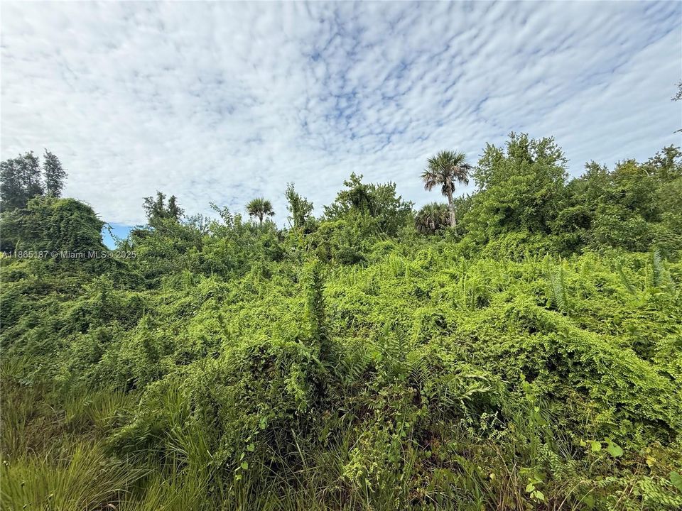 Recently Sold: $39,900 (0.32 acres)