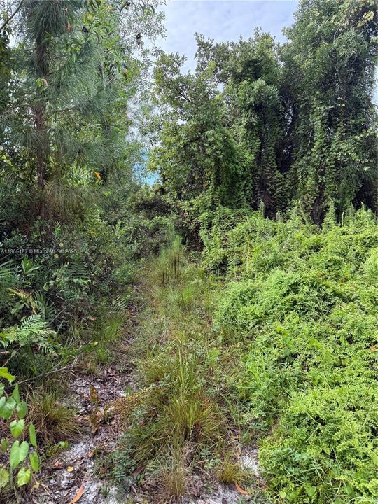 Recently Sold: $39,900 (0.32 acres)