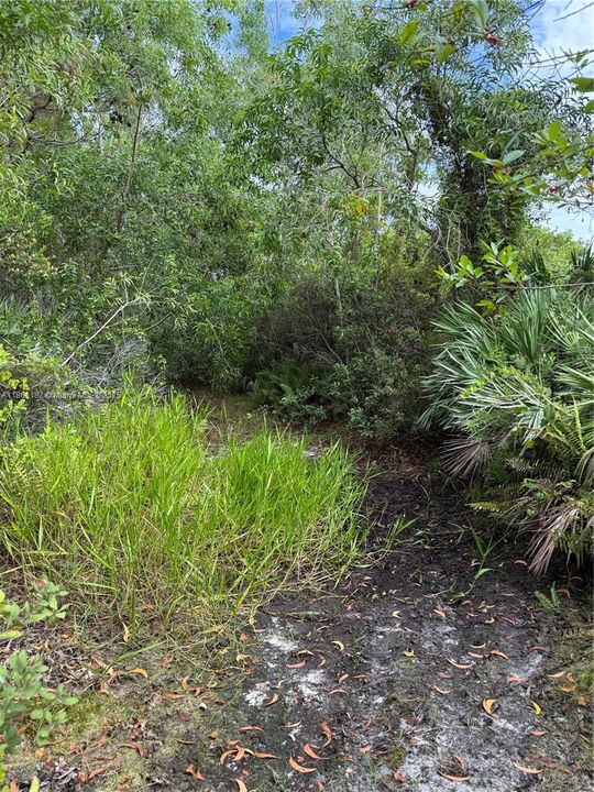 Recently Sold: $39,900 (0.32 acres)