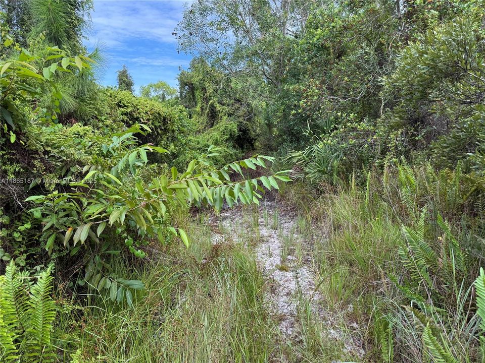 Recently Sold: $39,900 (0.32 acres)