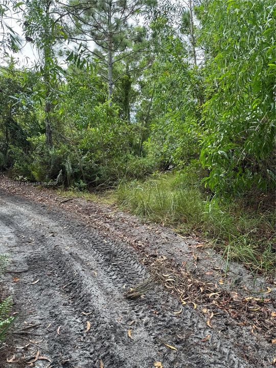 Recently Sold: $39,900 (0.32 acres)