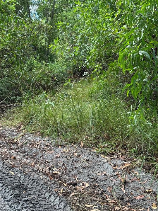 Recently Sold: $39,900 (0.32 acres)