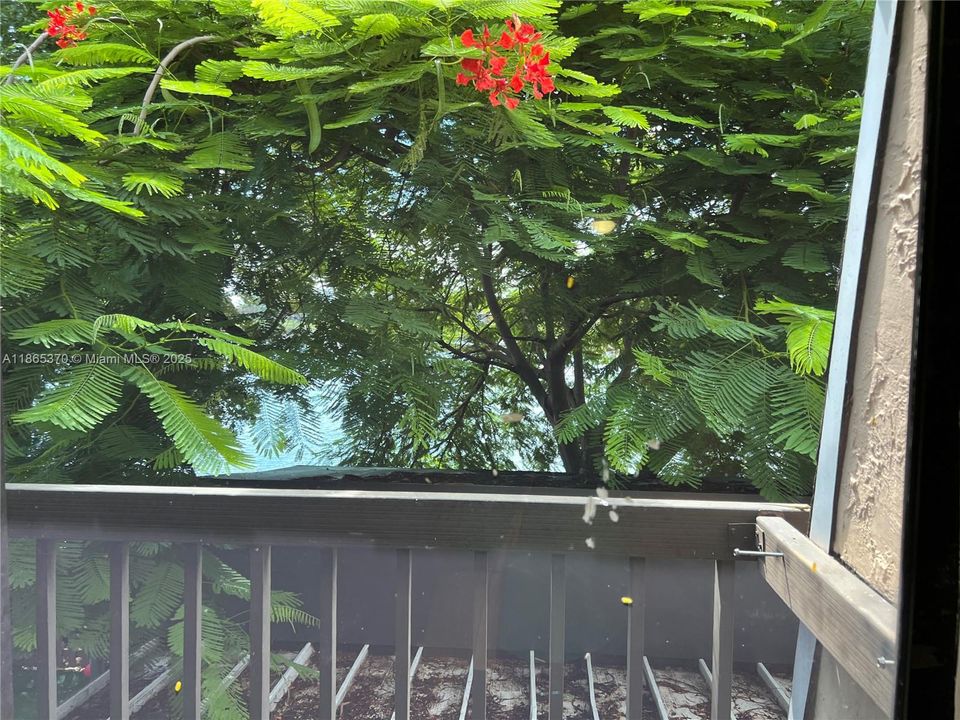 待售: $329,000 (3 贝兹, 3 浴室, 1303 平方英尺)