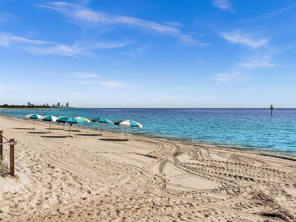 合同活跃: $473,355 (0 贝兹, 1 浴室, 460 平方英尺)