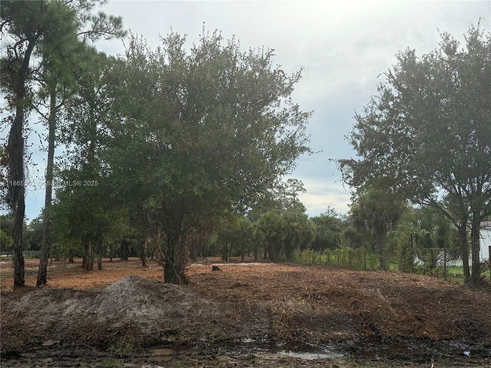 合同活跃: $49,999 (1.25 acres)