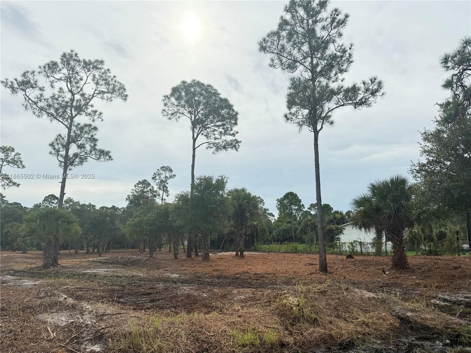 合同活跃: $49,999 (1.25 acres)