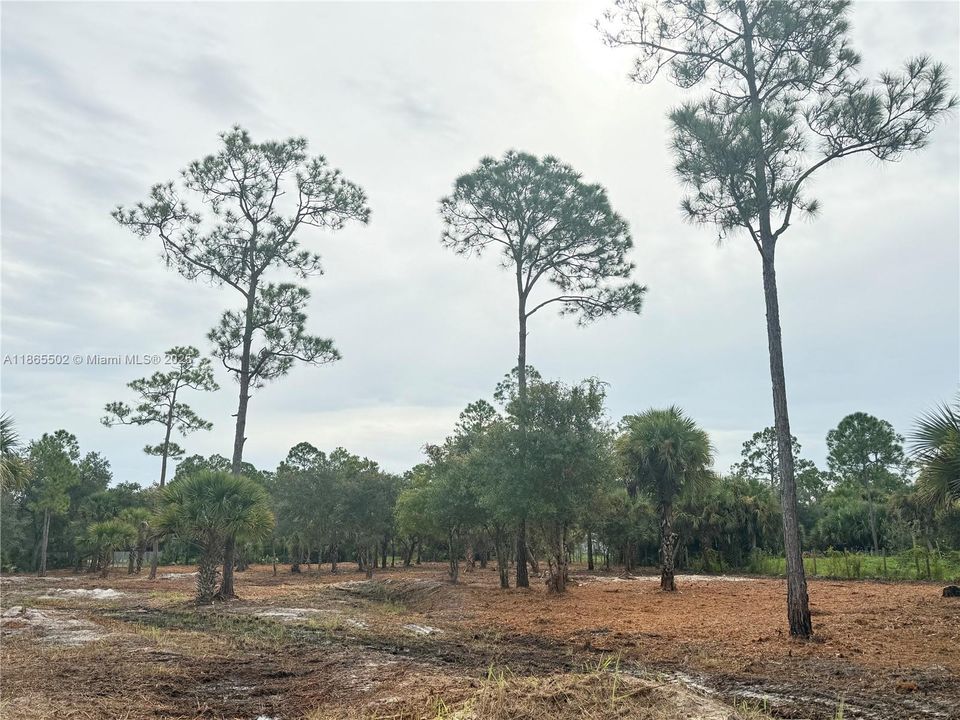 合同活跃: $49,999 (1.25 acres)