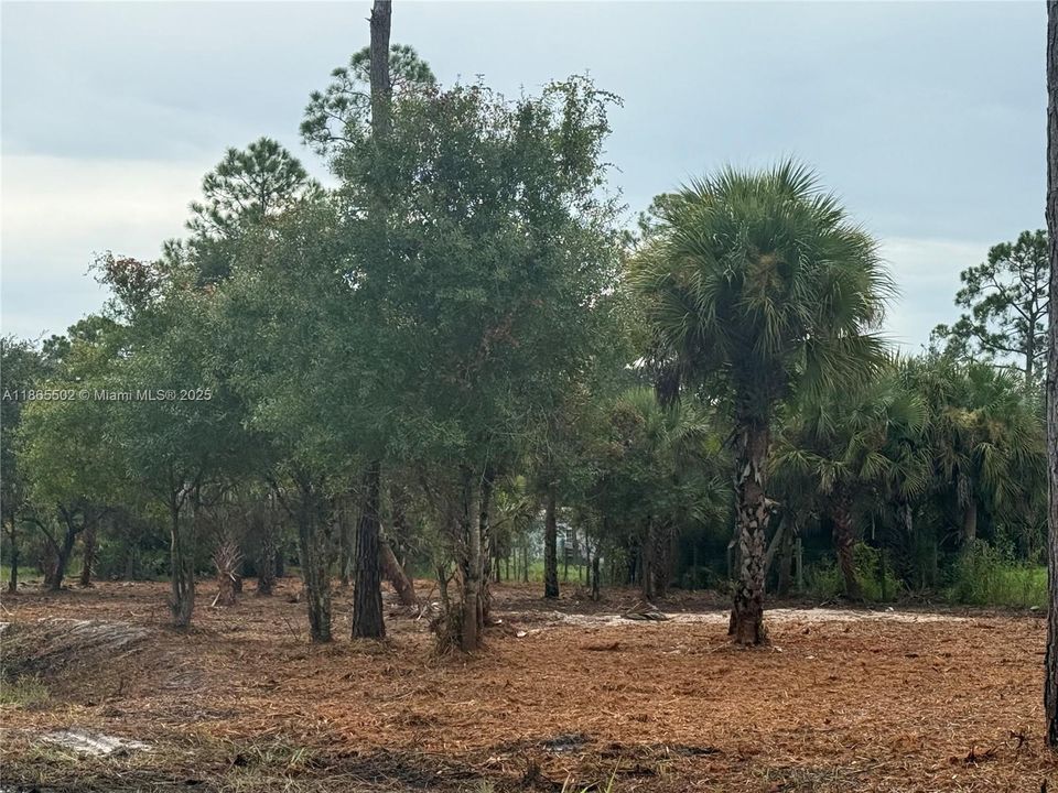 合同活跃: $49,999 (1.25 acres)