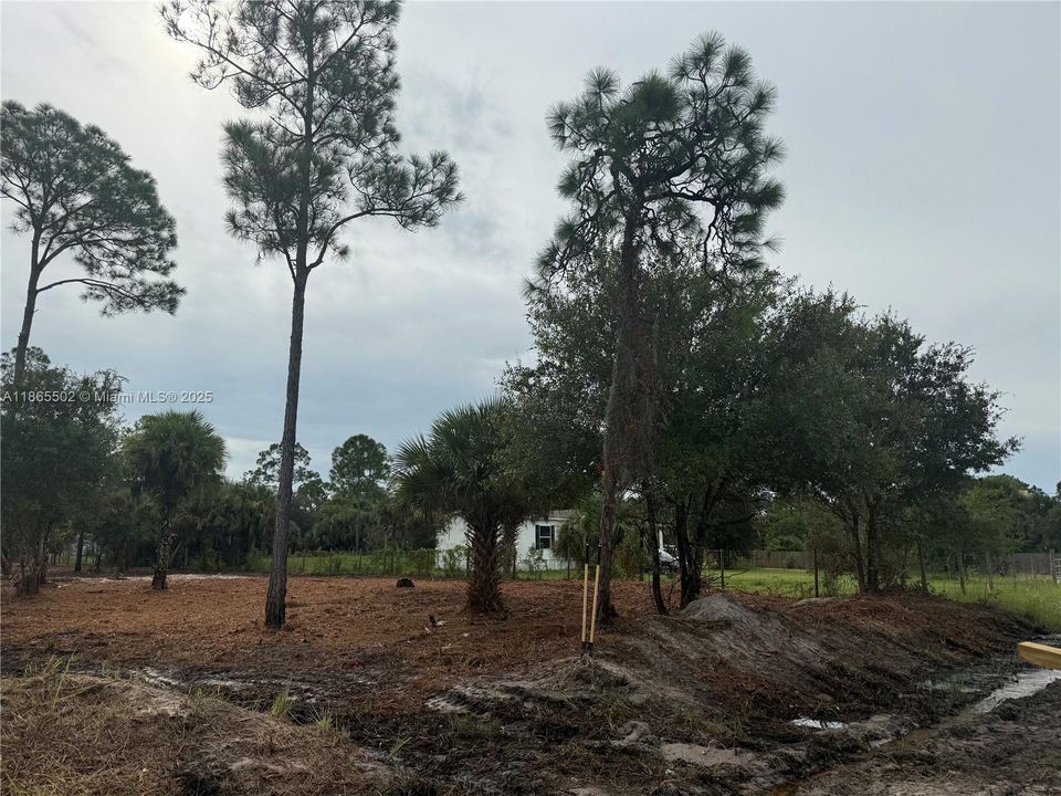 合同活跃: $49,999 (1.25 acres)