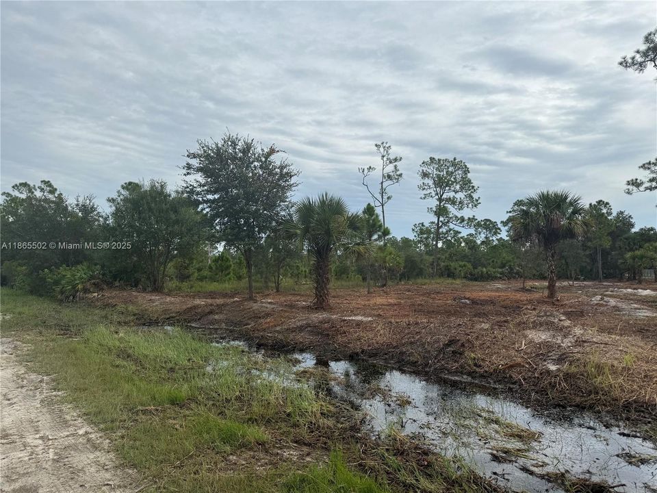 合同活跃: $49,999 (1.25 acres)