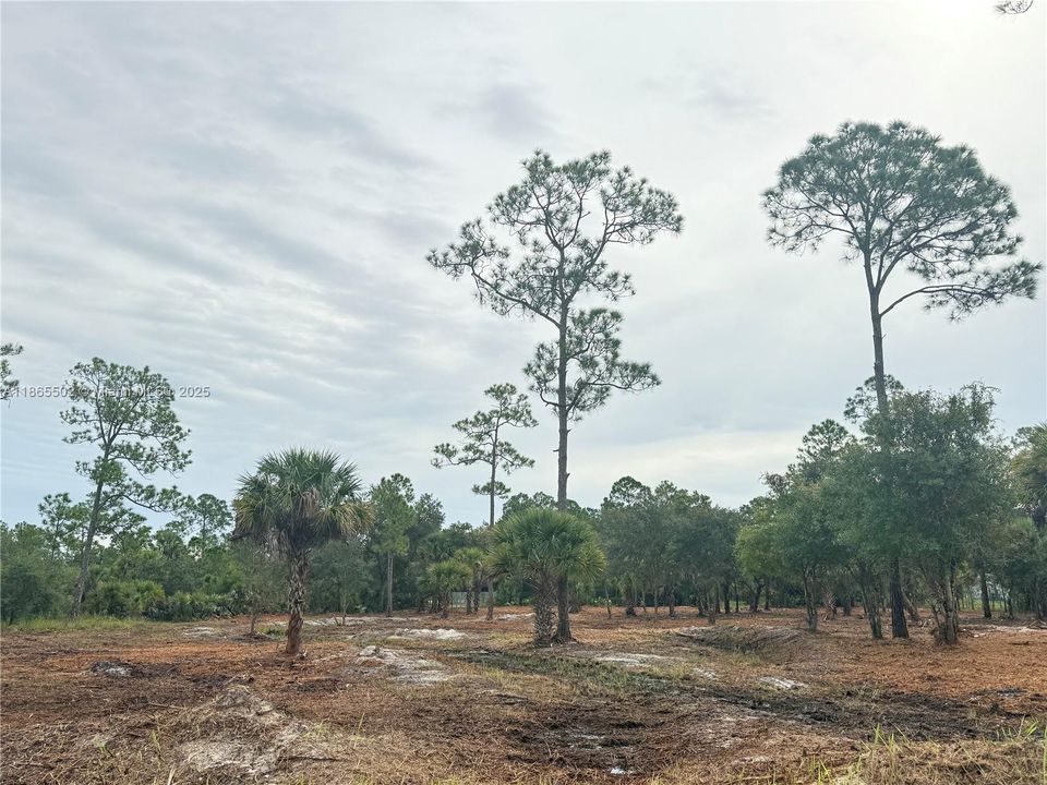 合同活跃: $49,999 (1.25 acres)