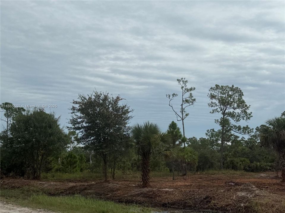 合同活跃: $49,999 (1.25 acres)