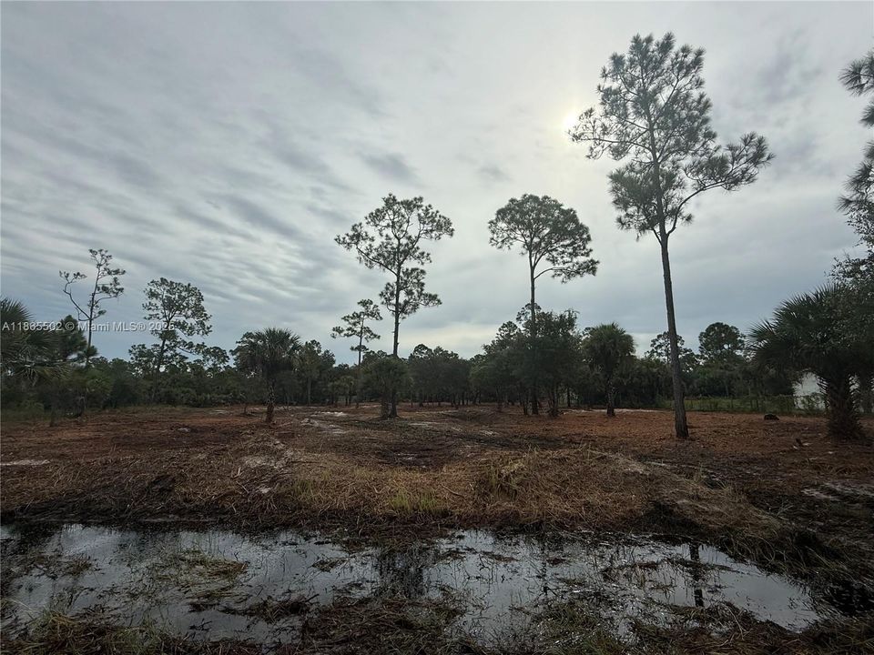 合同活跃: $49,999 (1.25 acres)