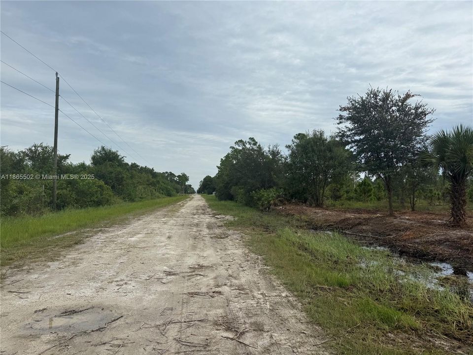 合同活跃: $49,999 (1.25 acres)